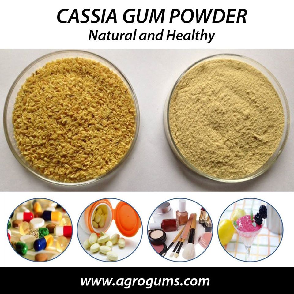 Cassia Gum Powder Usage In Preparing Toothpaste