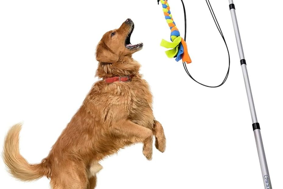 Amazon.Com : Flirt Pole For Dogs W/ Safe & Strong Non-Bungee Cord,  Telescopic Lure Stick For Dogs Of Any Size, Dog Toy For Fun Obedience  Training & Exercise, Braided Fleece Toy Pre-Attached,