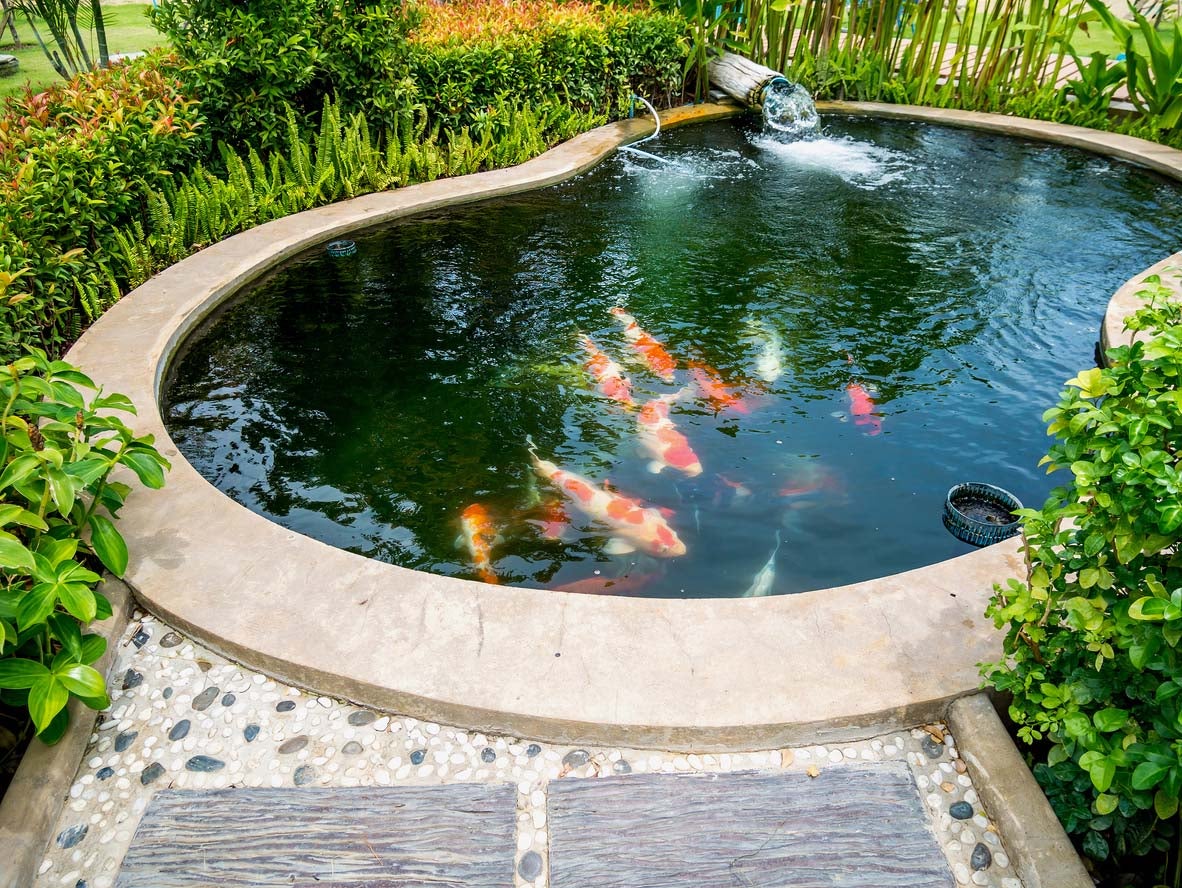 How Much Does A Koi Pond Cost? (2023) - Bob Vila