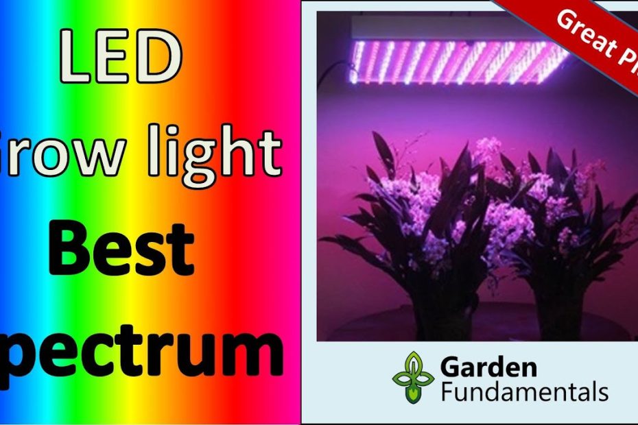 Choosing The Right Color Grow Light For Vegetables A Guide