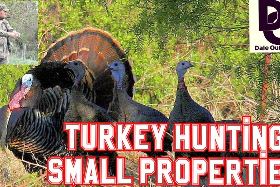 How To Correctly Turkey Hunt Smaller Properties - Youtube