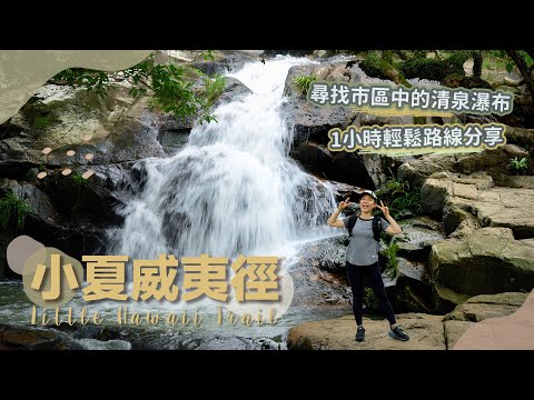 【貝遊香港】夏日之選「小夏威夷徑」探索市區美麗瀑布～寶林出發不用1小時到達！